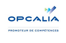 logo opcalia WEB OK